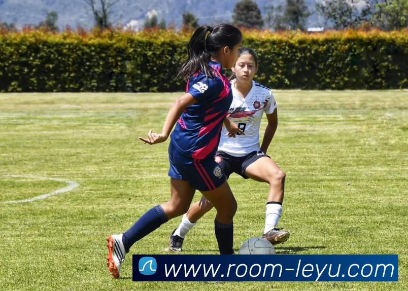 乐鱼体育品牌故事