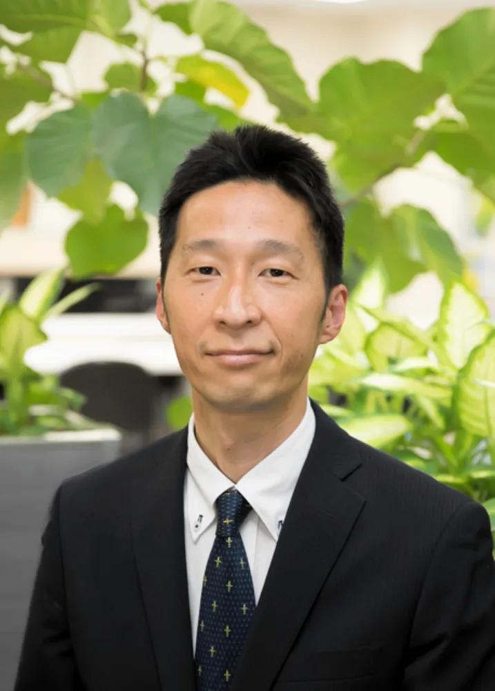 掩盖整体战