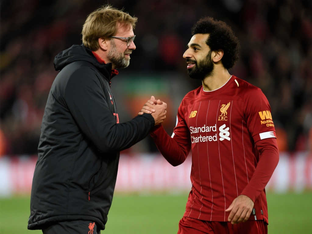 在过去的几 在过去的几